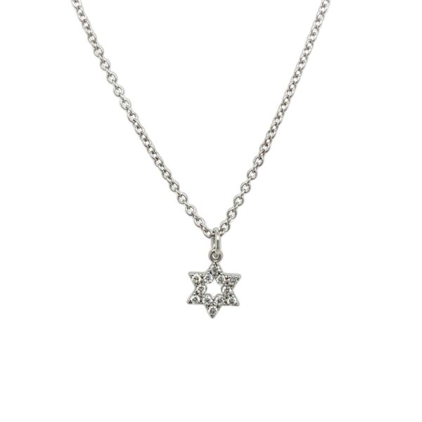 9ct White gold SOD with 12 diamonds on 9ct White Gold Chain (18″/16″)